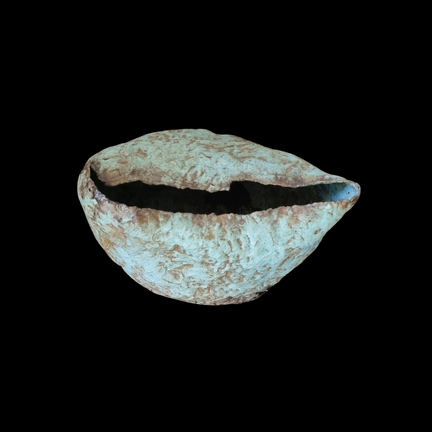 Escultura - Gallineta