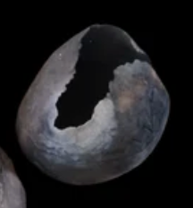 Escultura - Gallineta Quema Ancestral